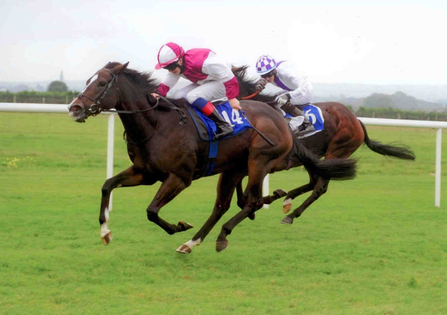 Wyoyo Roscommon 30th Sept